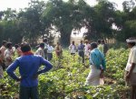 Agriculture